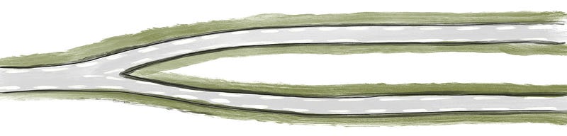 Data Scientist Career